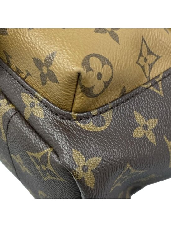 Louis Vuitton Backpack Monogram Reverse Palm Spring PM main image 16